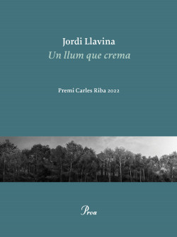 un-llum-que-crema_jordi-llavina